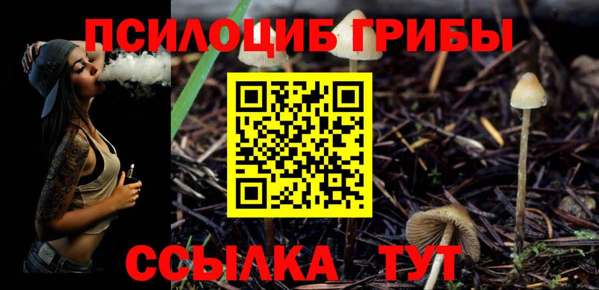 как найти закладки  Галлюциногенные грибы мицелий  Вход с VPN  Грязи 